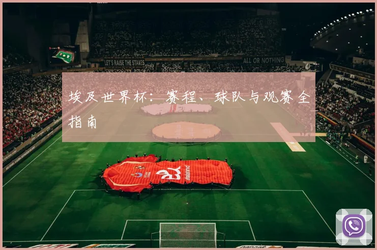 埃及世界杯：赛程、球队与观赛全指南